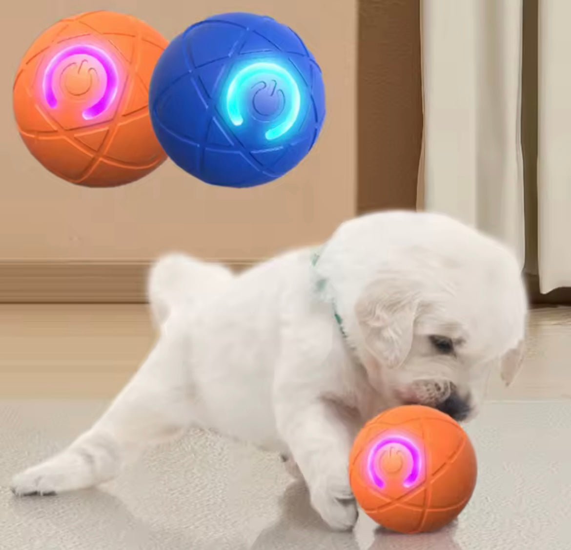 PawGlow™ – Balle interactive pour chien